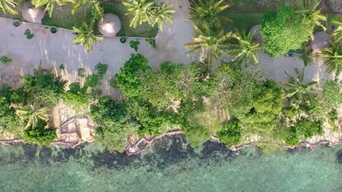 Top-down aerial view of tropical shoreline and vegetation Stock Footage 325670364