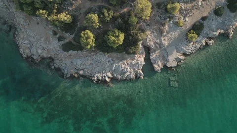 Top-Down Aerial View of a Turquoise Coastline with Bright Green Trees Stock Footage 293648037