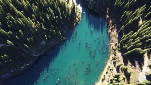 Top down aerial view of turquoise Kaindy lake with submerged trees and forest Vidéo 334326725