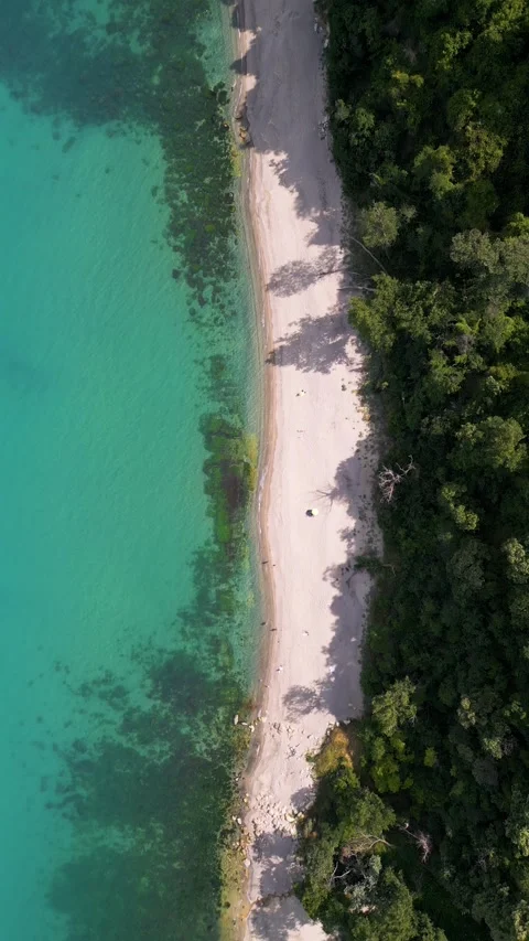 Top Down Aerial View of Turquoise Sea, Sandy Beach and Green Forest 動画素材 338995403