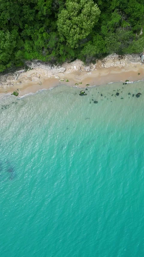 Top Down Aerial View of Turquoise Sea, Rocky Sandy Beach and Forest Vídeos de archivo 339169570