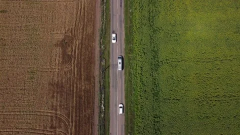 Top down aerial view of two lanes road between two fileds Video stock 168897829