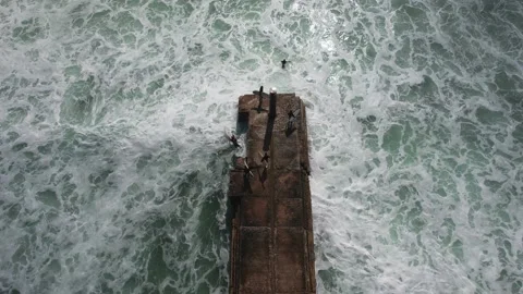 Top down aerial view of unidentifiable surfers on a pier  Stock Footage 234639465