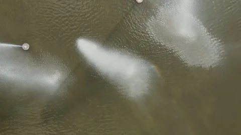 Top-Down Aerial View of Water Fountains in Kornickie Lake Stock Footage 323784795