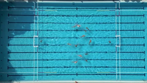 Top Down Aerial View of Water Polo Match Sprint Start Swimming to Center Ball Stock-Footage 343511889