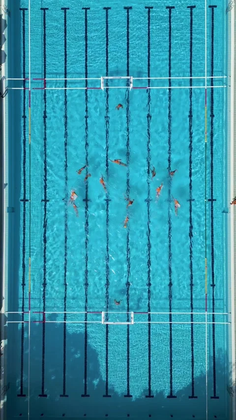 Top Down Aerial View of Water Polo Match Sprint Start Swimming to Center Ball Stock-Footage 343512113