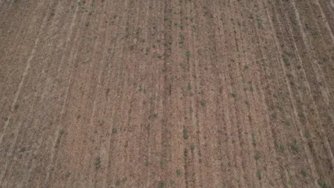 Top down aerial view of waterlogged agricultural soil after heavy autumn Stock Footage 336663425