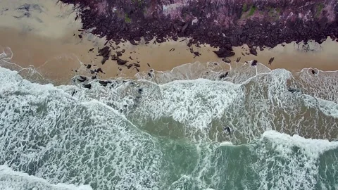Top-down aerial view of waves at Pipa Beach, Rio Grande do Norte. Stock Footage 314466578