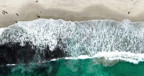 Top Down Aerial View of Waves Breaking on Camps Bay Beach, Cape Town Stock Footage 330431388