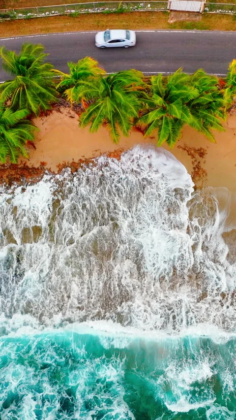 Top down aerial view of waves crashing on beach road Vertical video. Stock Footage 331311426