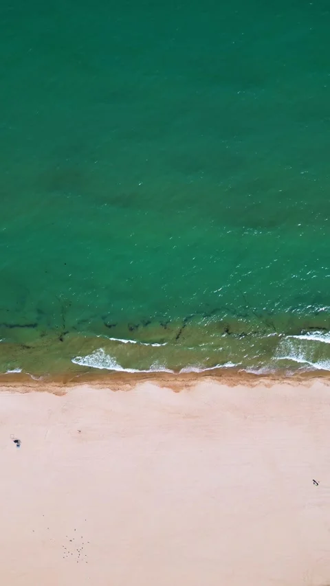 Top Down Aerial View of Waves Crashing on Sandy Beach Vídeos de archivo 339075712