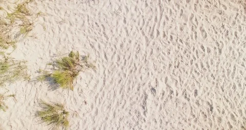 Top-down aerial view of White Sand Beach dunes in Kiliya region, Ukrainian Stock Footage 105042518