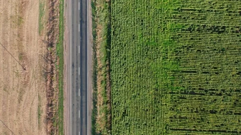 A top-down aerial view of a white minibus driving along a road on a summer Stock-Footage 169099950