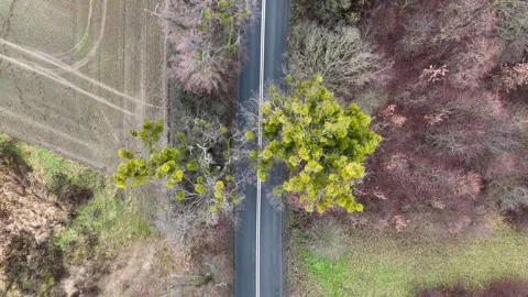 Top Down Aerial View of White Car Driving on Road Along Forest and Field Video stock 323722050