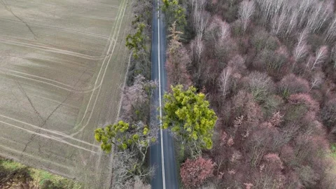 Top Down Aerial View of White and Red Cars Driving on Country Road Video stock 323722664