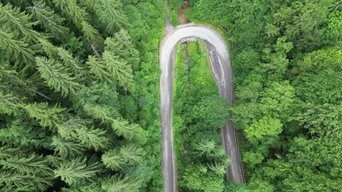 Top down aerial view of winding mountain road through green forest Video stock 325819719