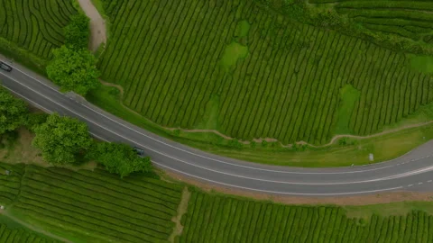 Top-down aerial view of a winding road cutting through the vibrant, geometric Stockbeeldmateriaal 335721139