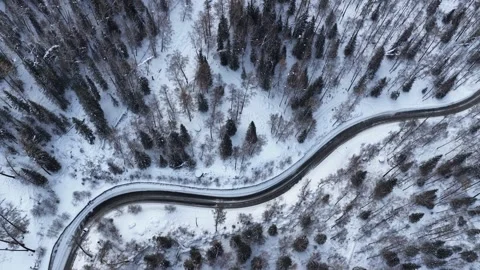 Top down aerial view of winding mountain road through snowy forest in Xinjiang Stock Footage 336601861