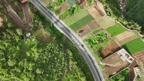 Top Down Aerial View of Winding Road Through Mountain Vegetable Farms Stock Footage 343580407