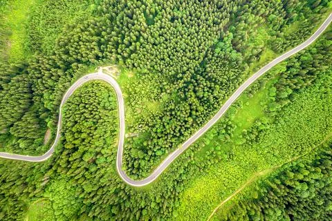 Top down aerial view of winding forest road in green mountain spruce woods. Stock Photos