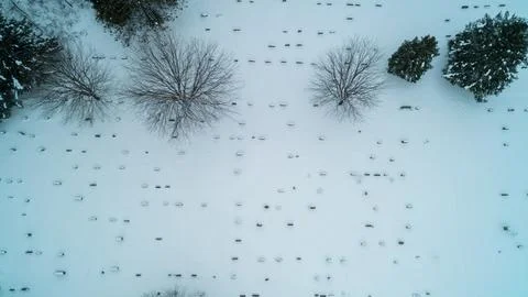 Top Down Aerial View of Winter Cemetery Headstones and Snow Covered Trees Foto stock