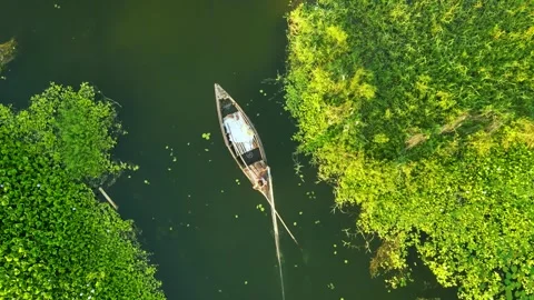 Top down aerial view of wooden boat rowing through green water hyacinth, dr.. Stock-Footage 344905906