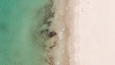 Top down aerial views of Emu bay beach, camping tourists, kayakers, swimmers Vídeos de archivo 104587389