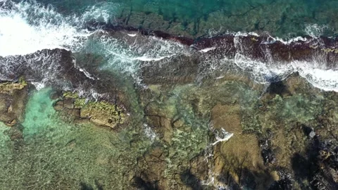 Top Down Aerial of Waves Along Maui Coast Video stock 169901508