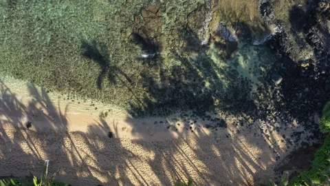 Top Down Aerial of Waves Along Maui Coast Video stock 169901550