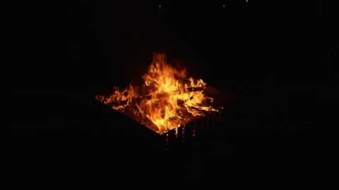 Top-down Angle of a Campfire with Ambient Sound Stock Footage 310861799