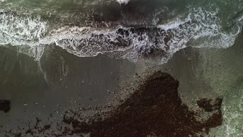 Top-down ascent from sandy beach revealing Talland Bay shoreline and coastline Stock Footage 328483263