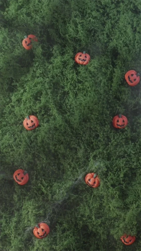 Top down background of mini pumpkins on green surface with fog Видео 342423505