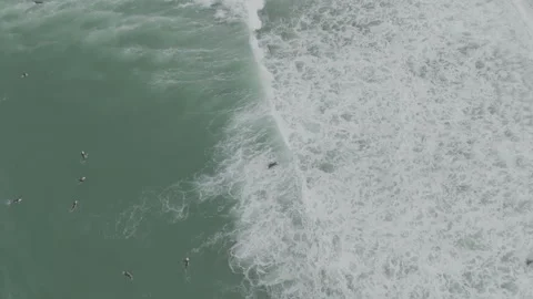 Top-down backward tracking surfers Video stock 345225570
