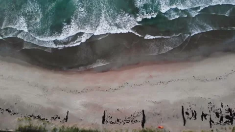 Top-down Beach Flyover Video stock 145937777