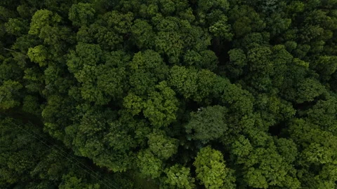 Top down bird's eye view above electricity utility pole wires cutting Stock Footage 250595550
