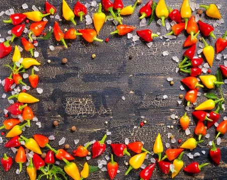 Top down of border spice from different dry and hot chili peppers, sea salt o Foto stock
