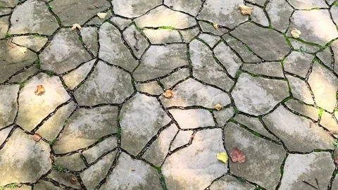 Top down camera movement moving forward over a stone pavement with autumn leaves Stock Footage 345711598