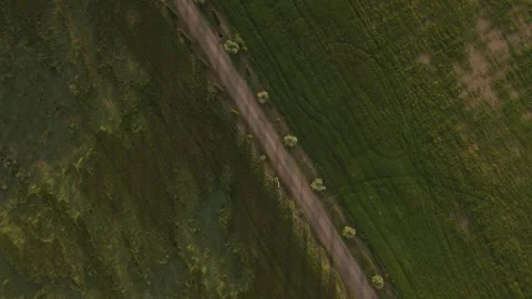 Top Down Cinematic Drone Shot Over Rural Road and Green Fields in Tuscany Stock Footage 335826847