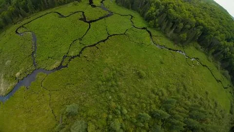 Top down close up aerial view of a winding creek maze in a green wetland mars Foto stock