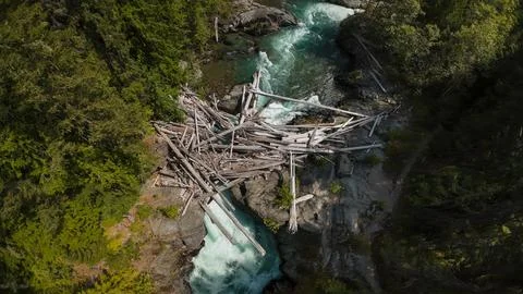 Top down close up aerial view of a massive log jam on a rushing forest river 스톡 사진