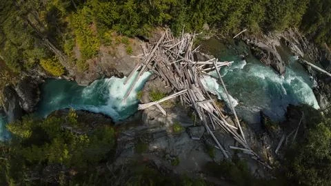 Top down close up aerial view of a massive log jam on a rushing forest river Stock-Fotos