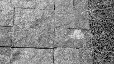 A top down close up monochrome view captures a hard vertical border line wh.. Stock Photos