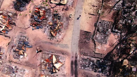 Top-down close-up then pulling back to burned area surrounded by trees, Gironde Видео 332065878