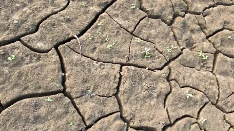 Top down closeup pan of cracked dry soil, drought desertification concept Stock Footage 231087788