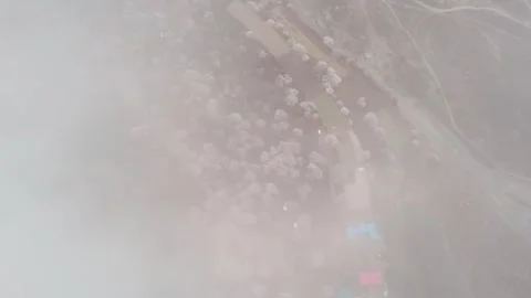 Top down cloud reveal over a flowering peach grove in Nyingchi Vidéo 345888827