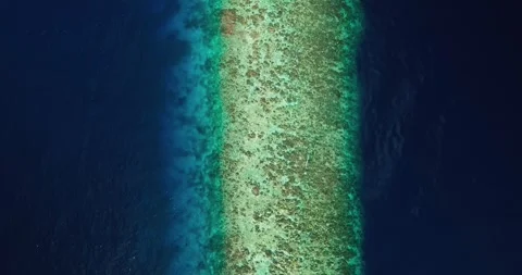 Top Down Coastal Water Texture in Tropical Island 库存影片 329143127