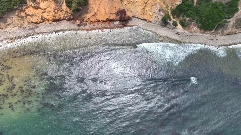Top down coastline Stock Footage 310418509