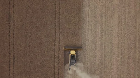 Top Down Combine Harvester Working in Wheat Field Stock Footage 340411926