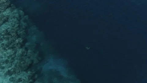 Top Down Coral Reef Edge Meeting Deep Blue Ocean, Philippines Stock Footage 333219105
