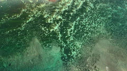 Top down coral reef shallows with turquoise marine texture and rock patches Stock Footage 336396665
